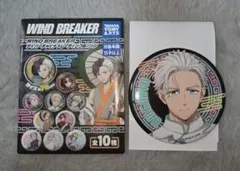 WIND BREAKER　サイバーチャイナ　缶バッジ　梅宮一