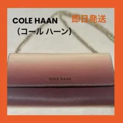 【美品】COLE HAAN コールハーン ウォレット チェーンバック