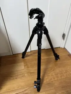 Item thumbnail for item 651e67e9-f550-4156-9b81-94f7cc1a212e