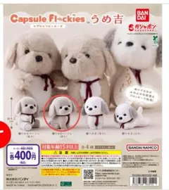 Capsule Flockies うめ吉 ベージュ（座り）