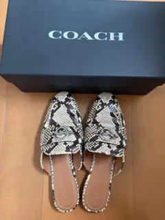 COACH パイソン柄 ミュール サンダルのサムネイル