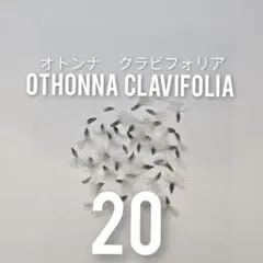 sachiken様 リクエスト 2点 まとめ商品