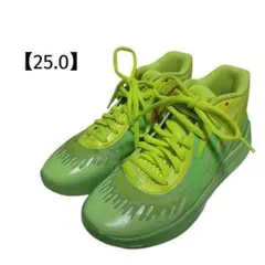 Item thumbnail for item 92f7cc6c-a552-495d-8c6b-bde63304d5e5