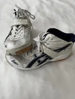 Item thumbnail for item ba9d6811-c706-4d1f-b931-680d613774d3