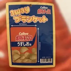 カルビー　ポテトチップス　うすしお味　３wayブランケット　100×70cm