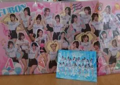 台湾プロ野球 fubon angeles 応援プラカード&ポストカード