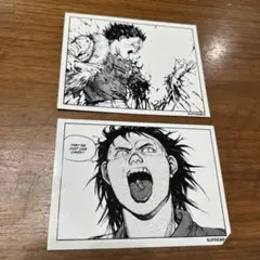 SUPREME (漫画アキラ)鉄雄 ステッカー 2枚セット