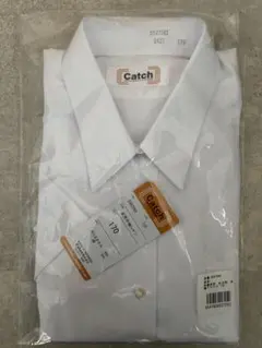 Item thumbnail for item f05dce33-b88b-4d5a-ab7a-3919cbd1db5d