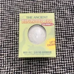 THE ANCIENT DINOSAUR EGG 恐竜の卵発掘キット