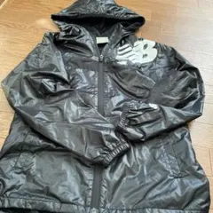 Item thumbnail for item 8a154072-39f6-4eb7-a893-4673b0feecf5