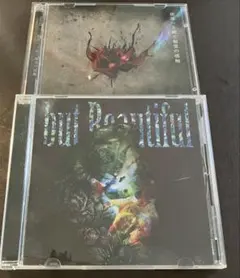 HASE様 リクエスト 2点 まとめ商品