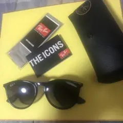 Ray-Ban アイコンシリーズ サングラス