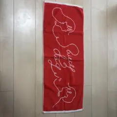 SaucyDog タオル