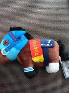 サラブレッドコレクション アドマイヤグルーヴ号 エリザベス女王杯