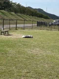 25 SB 異神 1&2 mak4959様 リクエスト 2点 まとめ商品