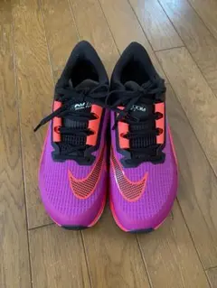 Item thumbnail for item 7a7767a7-422c-4049-ab34-0c6a0507f8b5