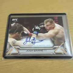 Item thumbnail for item fc1f9d59-ad61-4cbc-8887-d58efe96a43a