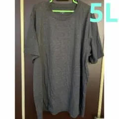 5L tシャツ　速乾
