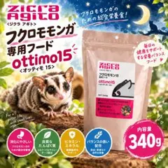 ジクラアギト　フクロモモンガ専用フード　オッティモ15 340g