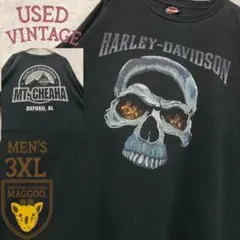 US古着【ハーレーダビッドソン ドクロ ファイア Tシャツ】メンズ3XL