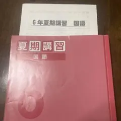 2026年最新】6年 夏期講習 四谷大塚の人気アイテム - メルカリ