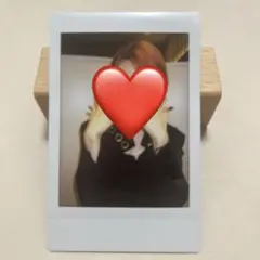 xlov チェキ　ウムティ