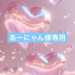あーにゃん様専用☺︎