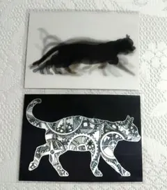 Item thumbnail for item ae7c9893-96dc-4108-aa27-a45e341fa5b9