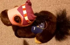 Item thumbnail for item 99626519-f8ce-48c8-b4e7-53820c590e54