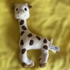 Item thumbnail for item 76ad1f30-c622-44ba-8a93-72fd48a7f587