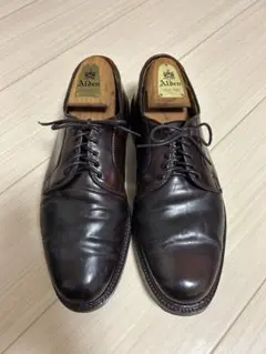 Alden 990 コードバン ブラック US8.5正規店購入 メンテ済ツリー付 Alden 990 コードバン ブラック US8.5正規店購入 メンテ済ツリー付