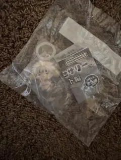 HUNTER×HUNTER コムギ　めじるしアクセサリー