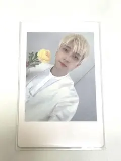 パンダドラゴン　ハピカ　ようた　バラ