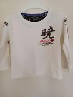 Item thumbnail for item f9c647e8-8804-457d-a903-20da9115c209