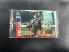 【本日まで】サラブレッドホースコレクション ドライスタウト 金箔サイン