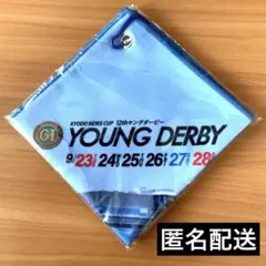【非売品】宮島GI ヤングダービー ピタッとくっつくタオル ボートレース未開封