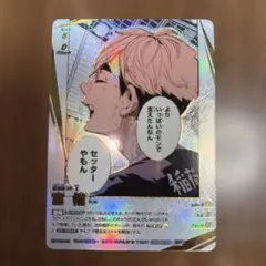 ハイキュー!! バボカ 宮侑 頂P