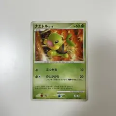 ポケモンカード ナエトル LV.14 001/013のサムネイル