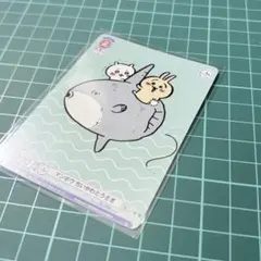 치이카와 マンボウ 치이카와 그리고 우사기 ヴァイスシュヴァルツブラウ