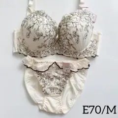 【30%off】10511EFYE E70/M 上下セット 脇高ブラ