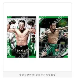 RIZIN ガシャポン ラジャブアリシェイドラエフ クリアファイルのサムネイル