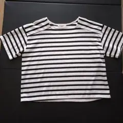 ストライプ 半袖Tシャツ