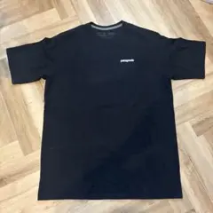 MENS パタゴニア　黒L