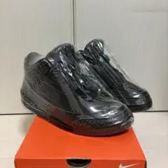 ナイキ エアジョーダン3 ブラックキャット 黒 スニーカー 観賞用