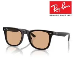 新品正規品 レイバン RB4391D 601/93 ブラウン サングラス