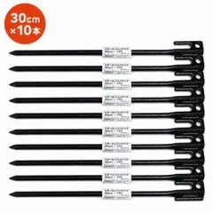 Coleman コールマン スチールソリッドペグ 30cm 10本セットのサムネイル