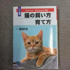 Item thumbnail for item dbcebc24-9bf7-42af-8ebd-0d77af54fa31