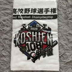第106回全国高等学校野球選手権大会 甲子園決勝タオル 京都国際 関東第