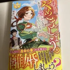 TL小説 もうやめましょう。あなたが愛しているのはその人です