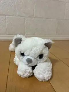 ニトリ くたくた クタクタ ぬいぐるみ 猫 ネコ ねこ NITORI 廃盤 希少のサムネイル